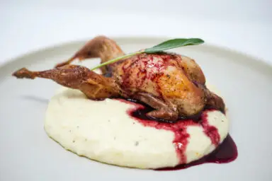 A beautifully plated Roasted Quail with a glossy Blackberry Sage Sauce drizzled over, highlighting the dish's elegant presentation and inviting colors.